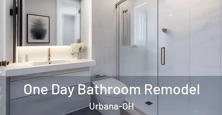 inner Bathroom imggen One Day Bathroom Remodel Urbana-OH