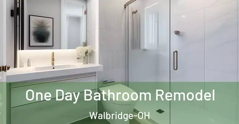 inner Bathroom imggen One Day Bathroom Remodel Walbridge-OH
