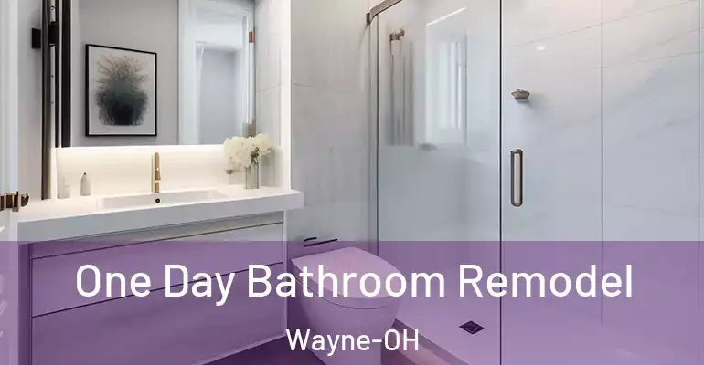inner Bathroom imggen One Day Bathroom Remodel Wayne-OH