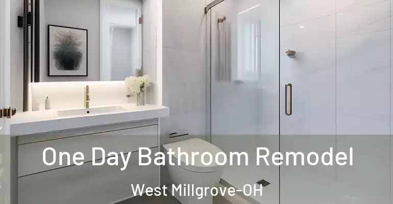 inner Bathroom imggen One Day Bathroom Remodel West Millgrove-OH