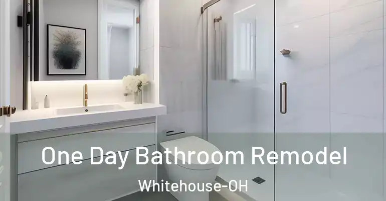 inner Bathroom imggen One Day Bathroom Remodel Whitehouse-OH
