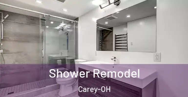 inner Bathroom imggen Shower Remodel Carey-OH