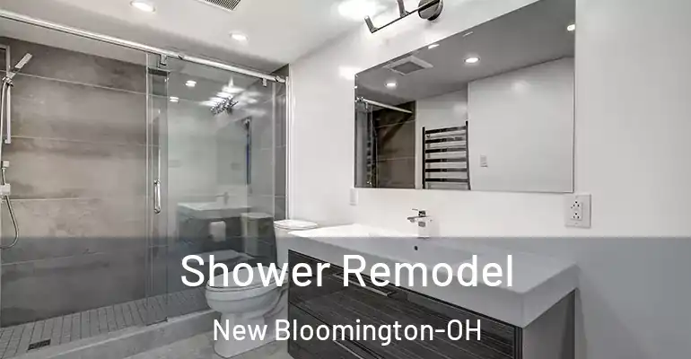 inner Bathroom imggen Shower Remodel New Bloomington-OH