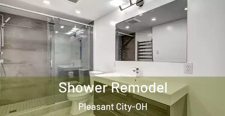 inner Bathroom imggen Shower Remodel Pleasant City-OH