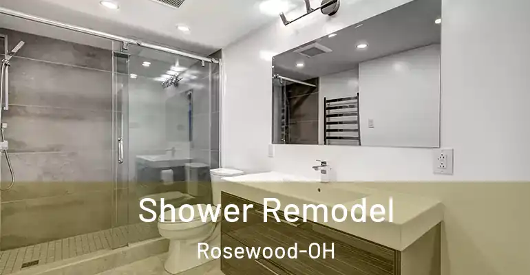 inner Bathroom imggen Shower Remodel Rosewood-OH