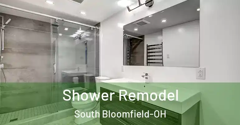 inner Bathroom imggen Shower Remodel South Bloomfield-OH