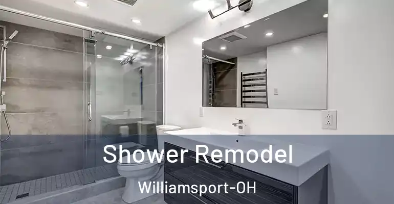 inner Bathroom imggen Shower Remodel Williamsport-OH