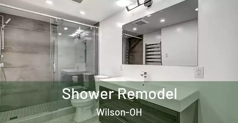 inner Bathroom imggen Shower Remodel Wilson-OH