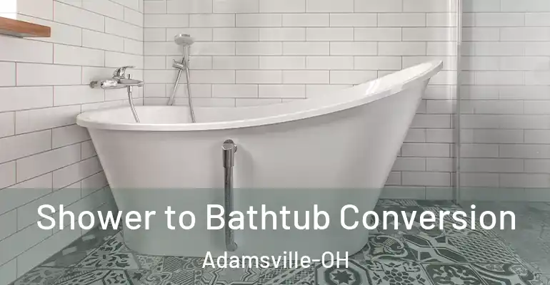 inner Bathroom imggen Shower to Bathtub Conversion Adamsville-OH