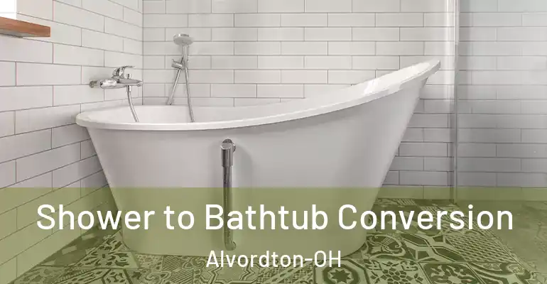inner Bathroom imggen Shower to Bathtub Conversion Alvordton-OH