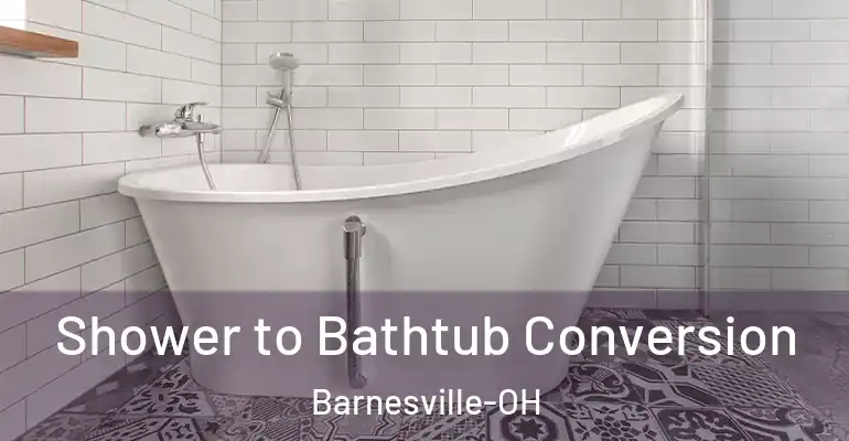 inner Bathroom imggen Shower to Bathtub Conversion Barnesville-OH