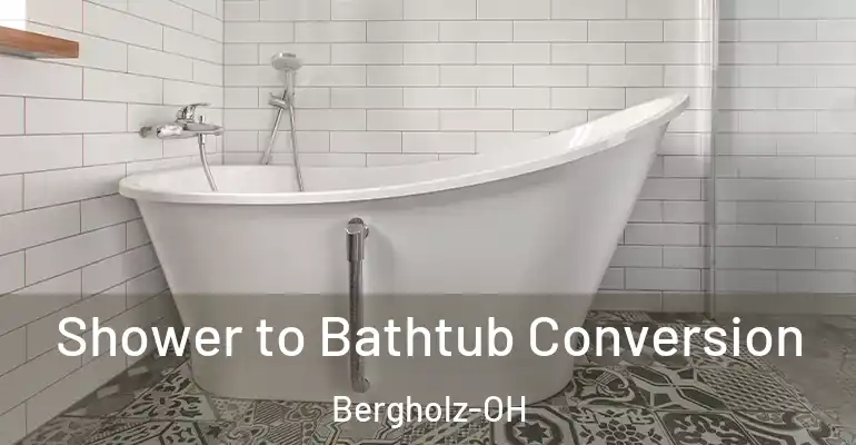 inner Bathroom imggen Shower to Bathtub Conversion Bergholz-OH