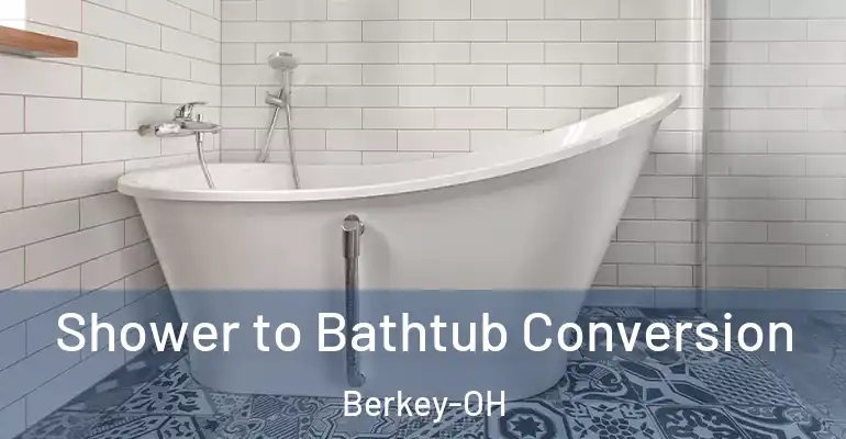 inner Bathroom imggen Shower to Bathtub Conversion Berkey-OH