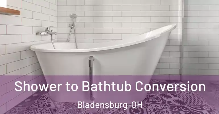 inner Bathroom imggen Shower to Bathtub Conversion Bladensburg-OH
