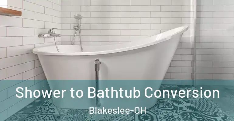 inner Bathroom imggen Shower to Bathtub Conversion Blakeslee-OH