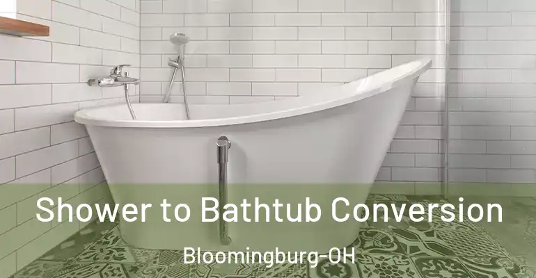 inner Bathroom imggen Shower to Bathtub Conversion Bloomingburg-OH