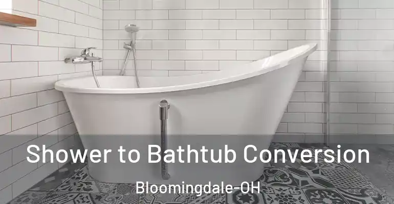 inner Bathroom imggen Shower to Bathtub Conversion Bloomingdale-OH