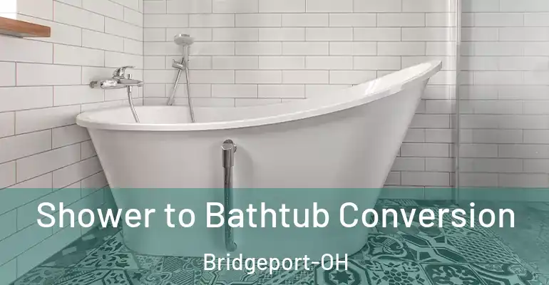 inner Bathroom imggen Shower to Bathtub Conversion Bridgeport-OH