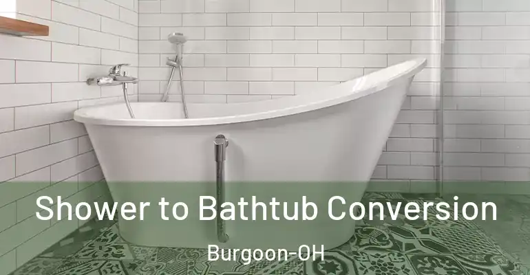 inner Bathroom imggen Shower to Bathtub Conversion Burgoon-OH