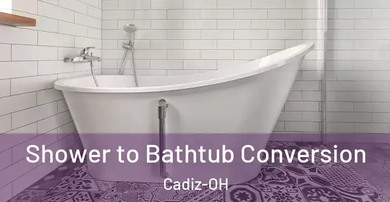inner Bathroom imggen Shower to Bathtub Conversion Cadiz-OH