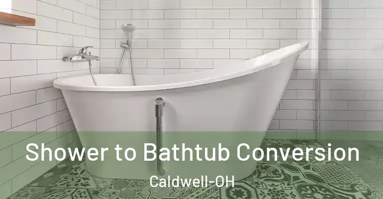 inner Bathroom imggen Shower to Bathtub Conversion Caldwell-OH
