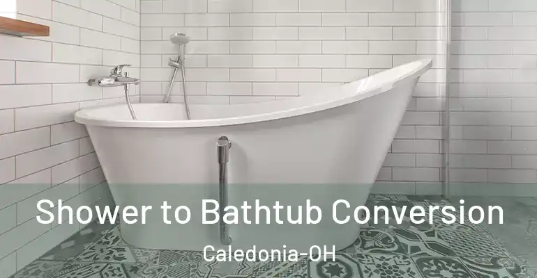 inner Bathroom imggen Shower to Bathtub Conversion Caledonia-OH