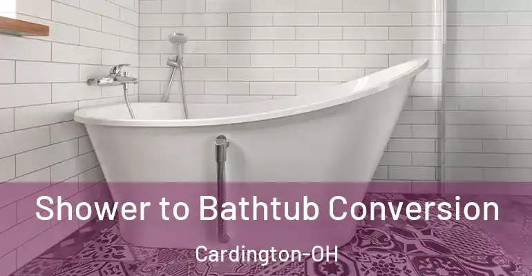 inner Bathroom imggen Shower to Bathtub Conversion Cardington-OH