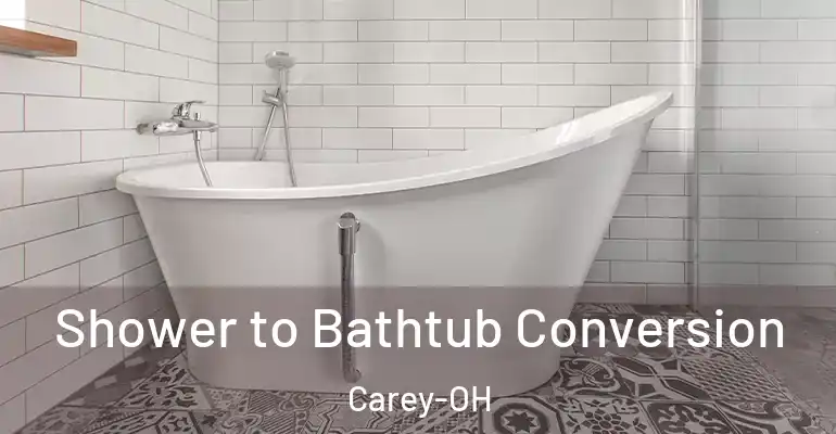 inner Bathroom imggen Shower to Bathtub Conversion Carey-OH