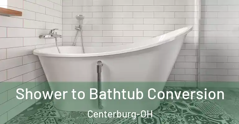 inner Bathroom imggen Shower to Bathtub Conversion Centerburg-OH