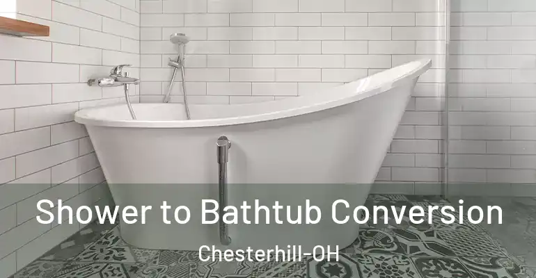 inner Bathroom imggen Shower to Bathtub Conversion Chesterhill-OH