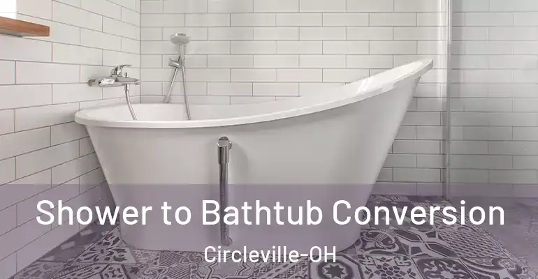 inner Bathroom imggen Shower to Bathtub Conversion Circleville-OH