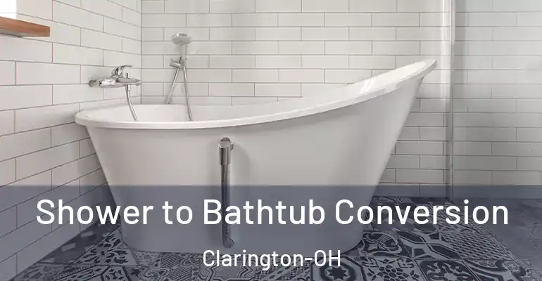 inner Bathroom imggen Shower to Bathtub Conversion Clarington-OH