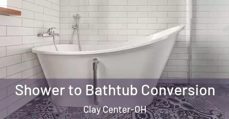 inner Bathroom imggen Shower to Bathtub Conversion Clay Center-OH
