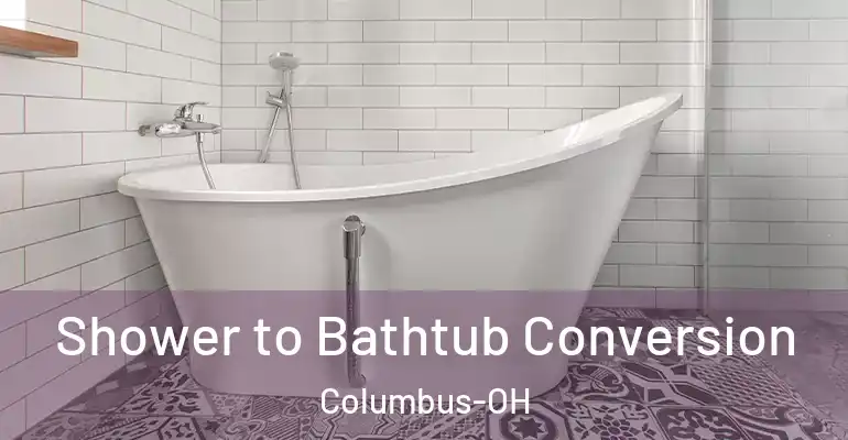 inner Bathroom imggen Shower to Bathtub Conversion Columbus-OH