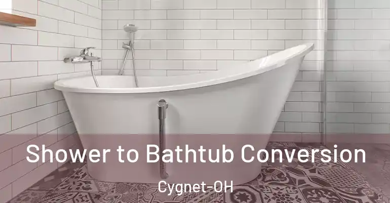 inner Bathroom imggen Shower to Bathtub Conversion Cygnet-OH