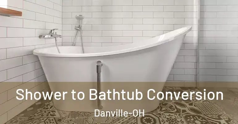 inner Bathroom imggen Shower to Bathtub Conversion Danville-OH