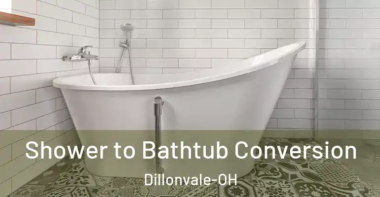 inner Bathroom imggen Shower to Bathtub Conversion Dillonvale-OH