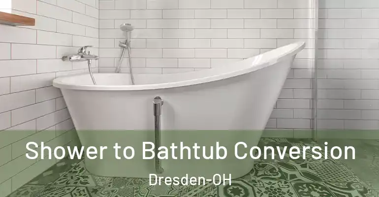 inner Bathroom imggen Shower to Bathtub Conversion Dresden-OH