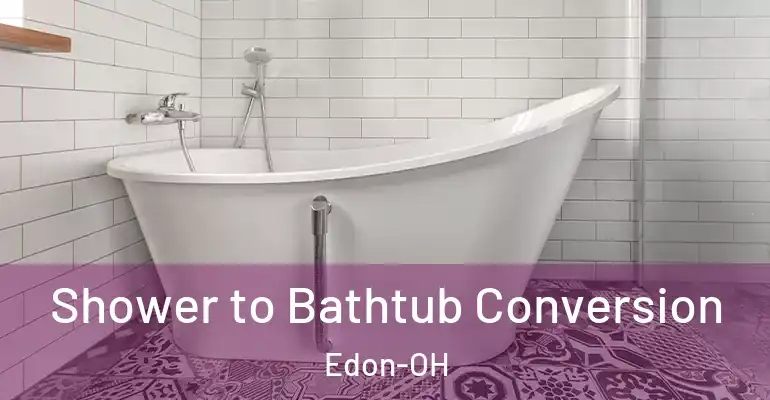 inner Bathroom imggen Shower to Bathtub Conversion Edon-OH