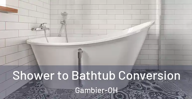 inner Bathroom imggen Shower to Bathtub Conversion Gambier-OH