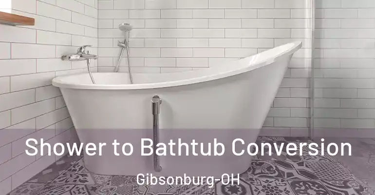 inner Bathroom imggen Shower to Bathtub Conversion Gibsonburg-OH
