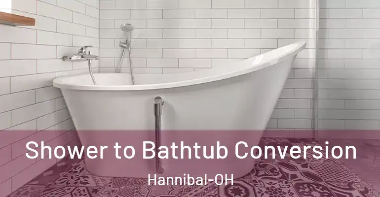 inner Bathroom imggen Shower to Bathtub Conversion Hannibal-OH