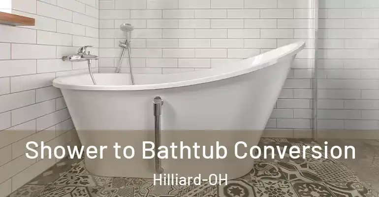 inner Bathroom imggen Shower to Bathtub Conversion Hilliard-OH