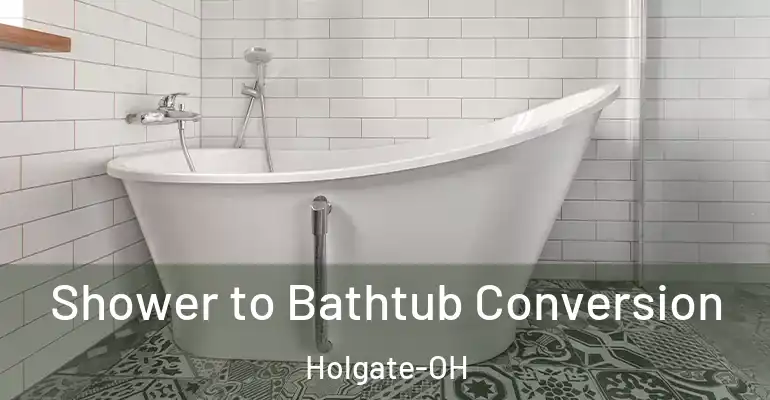 inner Bathroom imggen Shower to Bathtub Conversion Holgate-OH