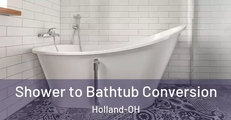 inner Bathroom imggen Shower to Bathtub Conversion Holland-OH