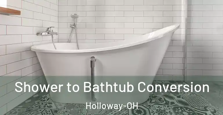 inner Bathroom imggen Shower to Bathtub Conversion Holloway-OH
