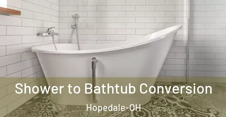 inner Bathroom imggen Shower to Bathtub Conversion Hopedale-OH