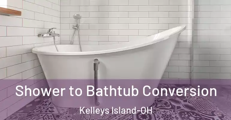 inner Bathroom imggen Shower to Bathtub Conversion Kelleys Island-OH