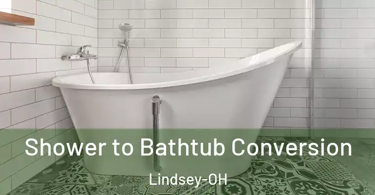 inner Bathroom imggen Shower to Bathtub Conversion Lindsey-OH