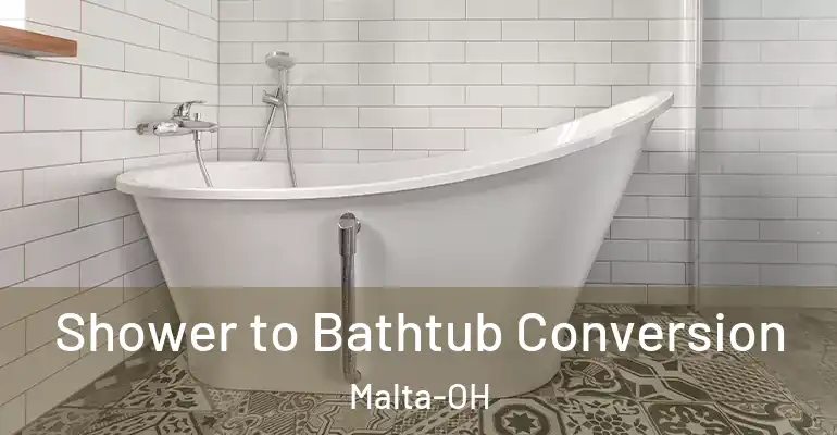 inner Bathroom imggen Shower to Bathtub Conversion Malta-OH